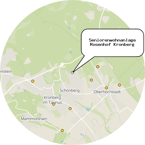 Kartenausschnitt für die Firma Seniorenwohnanlage Rosenhof Kronberg
