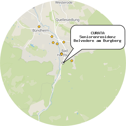 Kartenausschnitt für die Firma CURATA Seniorenresidenz Belvedere am Burgberg
