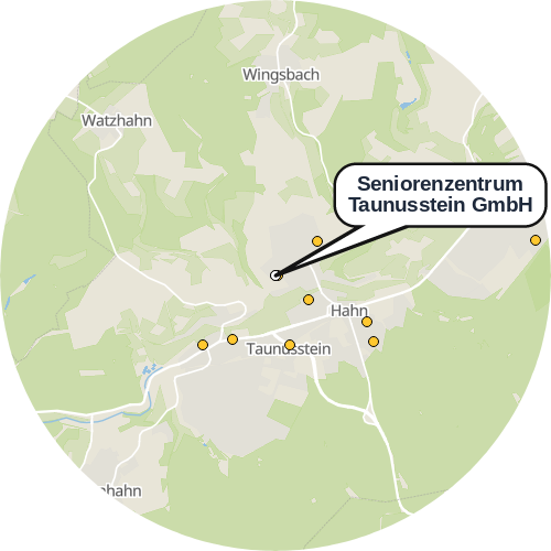 Kartenausschnitt für die Firma Seniorenzentrum Taunusstein GmbH