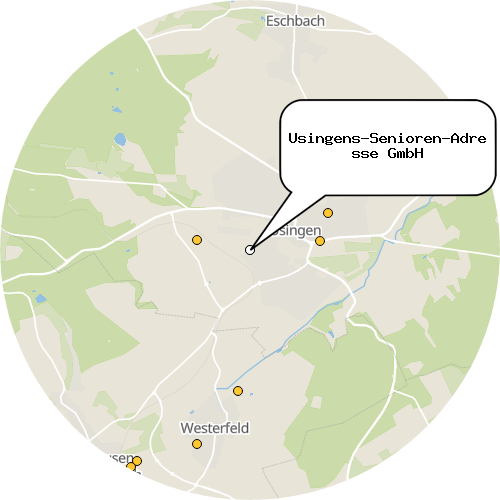 Kartenausschnitt für die Firma Usingens-Senioren-Adresse GmbH