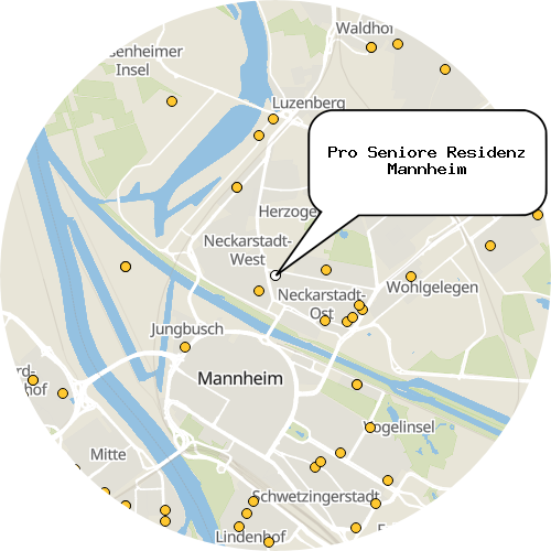 Kartenausschnitt für die Firma Pro Seniore Residenz Mannheim