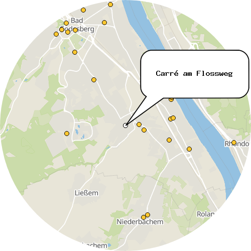 Kartenausschnitt für die Firma Carré am Flossweg