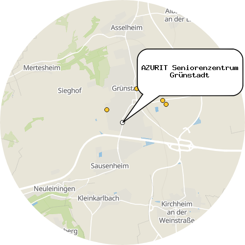 Kartenausschnitt für die Firma AZURIT Seniorenzentrum Grünstadt
