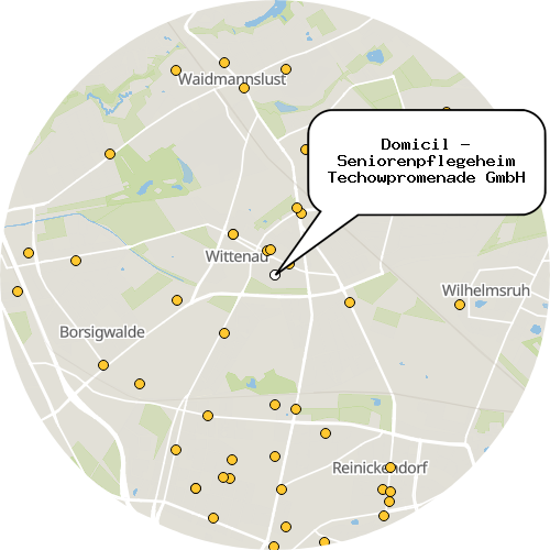 Kartenausschnitt für die Firma Domicil - Seniorenpflegeheim Techowpromenade GmbH