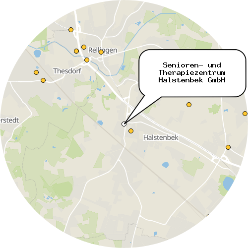 Kartenausschnitt für die Firma Senioren- und Therapiezentrum Halstenbek GmbH