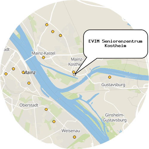 Kartenausschnitt für die Firma EVIM Seniorenzentrum Kostheim