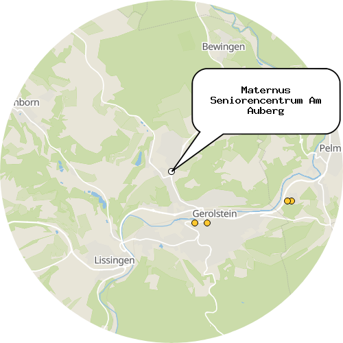 Kartenausschnitt für die Firma Maternus Seniorencentrum Am Auberg