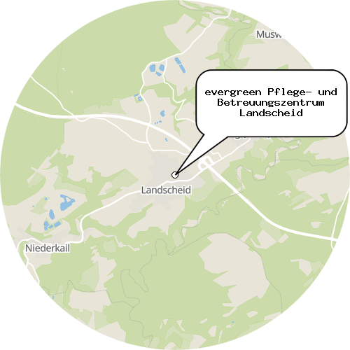 Kartenausschnitt für die Firma evergreen Pflege- und Betreuungszentrum Landscheid