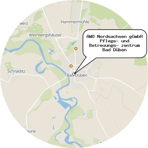 Kartenausschnitt für die Firma AWO Nordsachsen gGmbH Pflege- und Betreuungs- zentrum Bad Düben