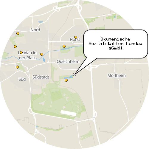 Kartenausschnitt für die Firma Ökumenische Sozialstation Landau gGmbH