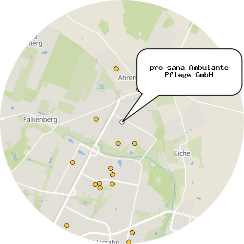 Kartenausschnitt für die Firma pro sana Ambulante Pflege GmbH