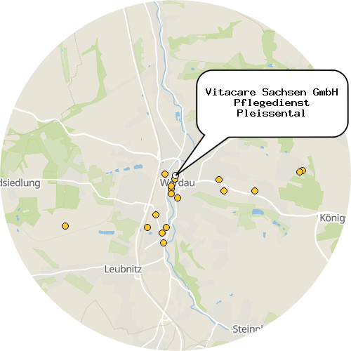 Kartenausschnitt für die Firma Vitacare Sachsen GmbH Pflegedienst Pleissental