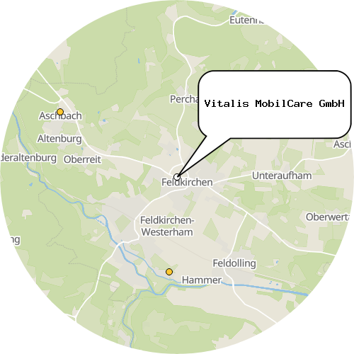 Kartenausschnitt für die Firma Vitalis MobilCare GmbH