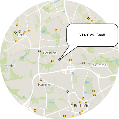 Kartenausschnitt für die Firma VitAlex GmbH