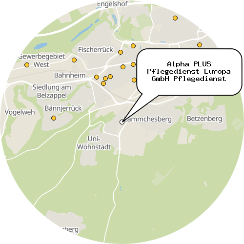 Kartenausschnitt für die Firma Alpha PLUS Pflegedienst Europa GmbH Pflegedienst