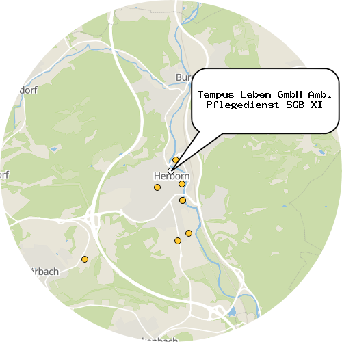 Kartenausschnitt für die Firma Tempus Leben GmbH Amb. Pflegedienst SGB XI