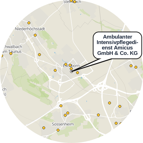 Kartenausschnitt für die Firma Ambulanter Intensivpflegedienst Amicus GmbH & Co. KG