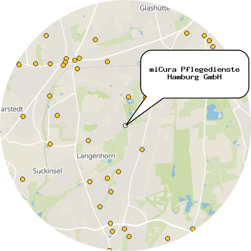 Kartenausschnitt für die Firma miCura Pflegedienste Hamburg GmbH
