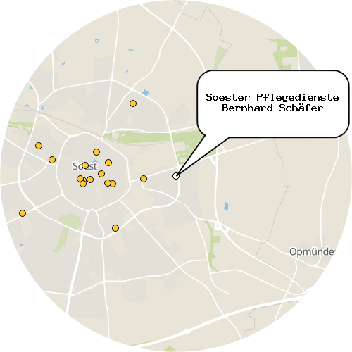 Kartenausschnitt für die Firma Soester Pflegedienste Bernhard Schäfer