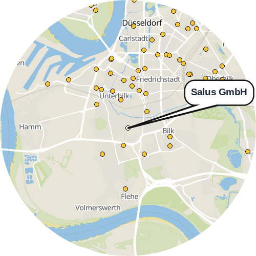 Kartenausschnitt für die Firma Salus GmbH