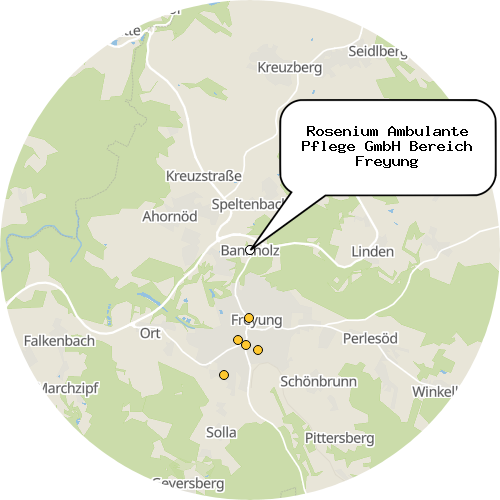 Kartenausschnitt für die Firma Rosenium Ambulante Pflege GmbH Bereich Freyung