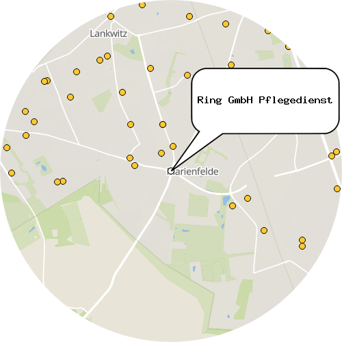 Kartenausschnitt für die Firma Ring GmbH Pflegedienst
