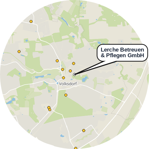 Kartenausschnitt für die Firma Lerche Betreuen & Pflegen GmbH