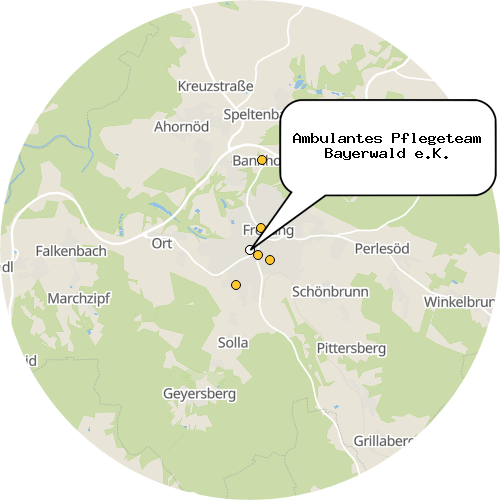 Kartenausschnitt für die Firma Ambulantes Pflegeteam Bayerwald e.K.