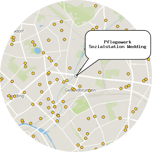 Kartenausschnitt für die Firma Pflegewerk Sozialstation Wedding