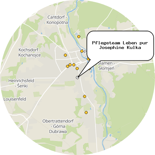 Kartenausschnitt für die Firma Pflegeteam Leben pur Josephine Kulka