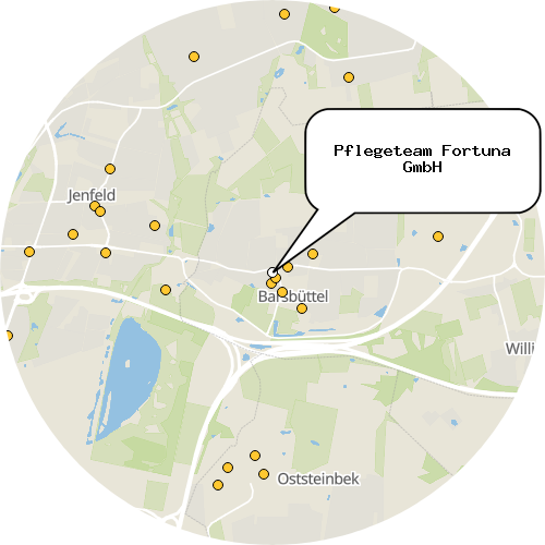 Kartenausschnitt für die Firma Pflegeteam Fortuna GmbH