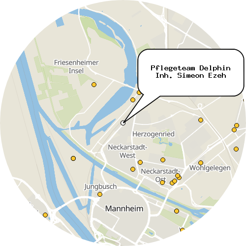 Kartenausschnitt für die Firma Pflegeteam Delphin Inh. Simeon Ezeh