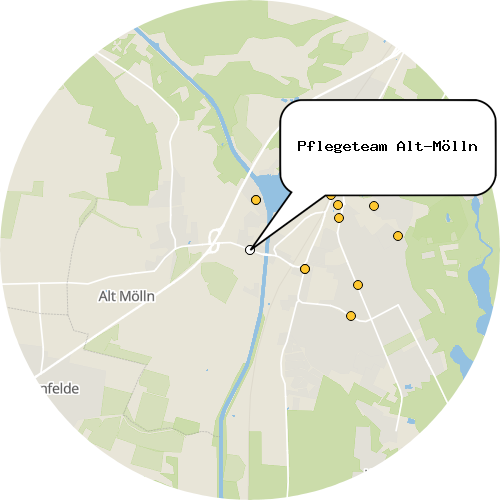 Kartenausschnitt für die Firma Pflegeteam Alt-Mölln