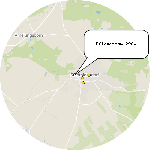 Kartenausschnitt für die Firma Pflegeteam 2000