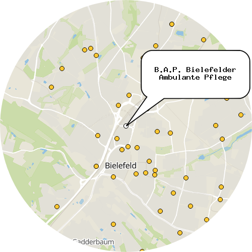 Kartenausschnitt für die Firma B.A.P. Bielefelder Ambulante Pflege