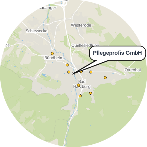 Kartenausschnitt für die Firma Pflegeprofis GmbH