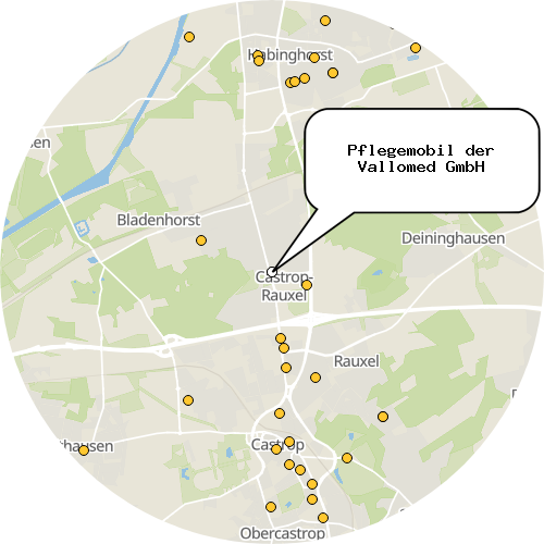 Kartenausschnitt für die Firma Pflegemobil der Vallomed GmbH