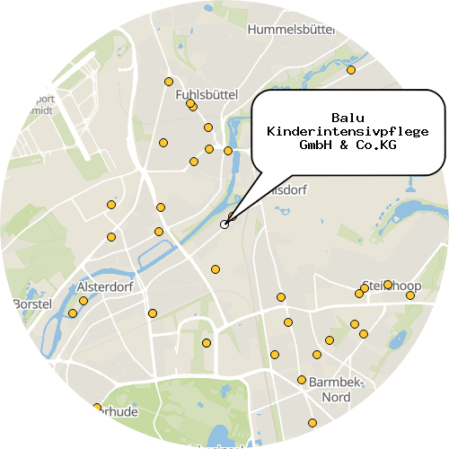 Kartenausschnitt für die Firma Balu Kinderintensivpflege GmbH & Co.KG