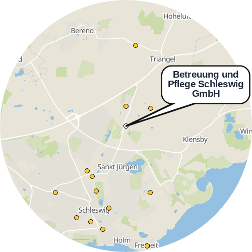 Kartenausschnitt für die Firma Betreuung und Pflege Schleswig GmbH