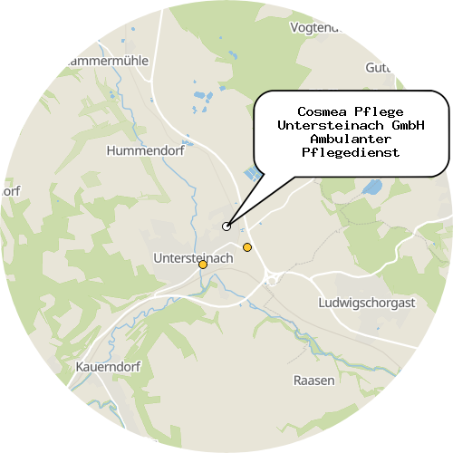 Kartenausschnitt für die Firma Cosmea Pflege Untersteinach GmbH Ambulanter Pflegedienst