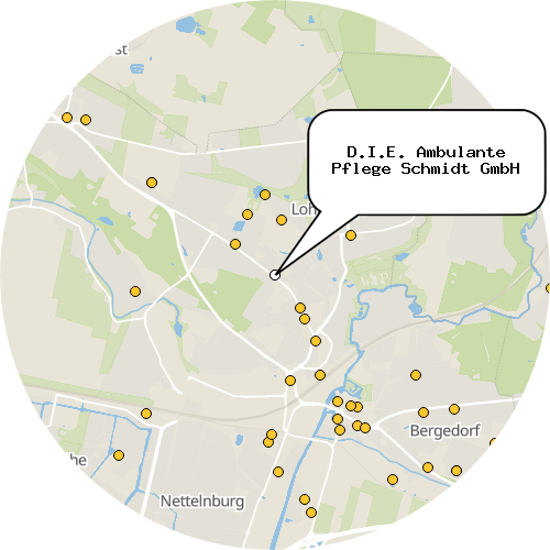 Kartenausschnitt für die Firma D.I.E. Ambulante Pflege Schmidt GmbH