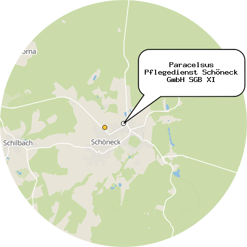 Kartenausschnitt für die Firma Paracelsus Pflegedienst Schöneck GmbH SGB XI