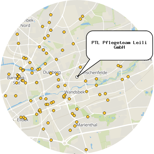 Kartenausschnitt für die Firma PTL Pflegeteam Leili GmbH