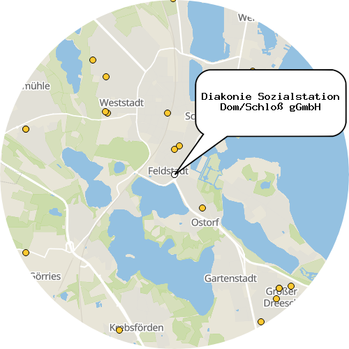 Kartenausschnitt für die Firma Diakonie Sozialstation Dom/Schloß gGmbH