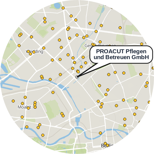 Kartenausschnitt für die Firma PROACUT Pflegen und Betreuen GmbH