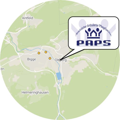 Kartenausschnitt für die Firma PAPS GmbH & Co. KG