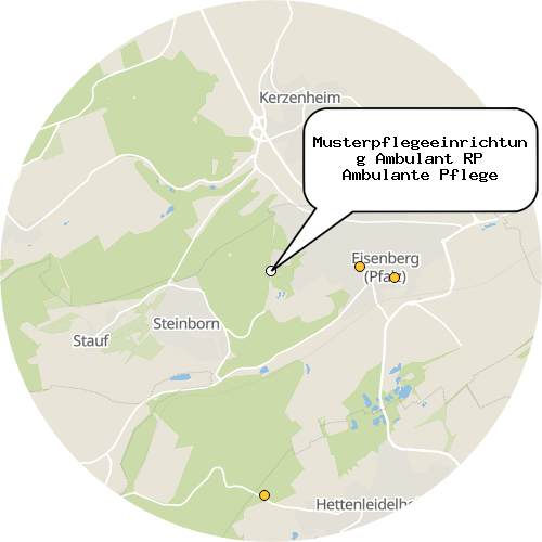 Kartenausschnitt für die Firma Musterpflegeeinrichtung Ambulant RP Ambulante Pflege