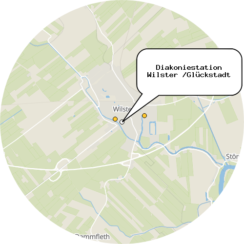 Kartenausschnitt für die Firma Diakoniestation Wilster /Glückstadt
