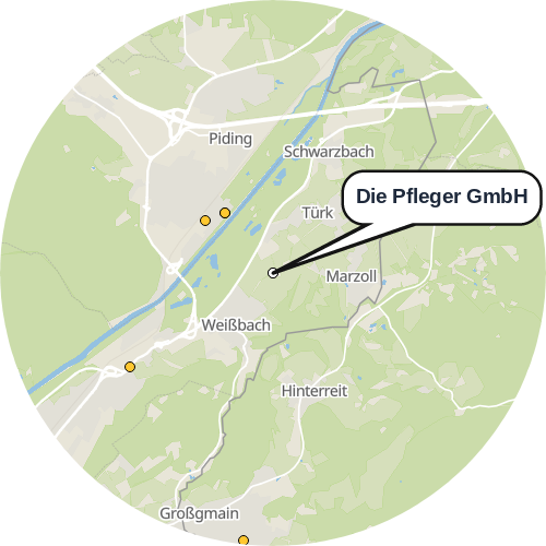 Kartenausschnitt für die Firma Die Pfleger GmbH