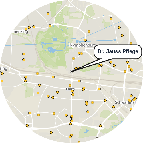 Kartenausschnitt für die Firma Dr. Jauss Pflege
